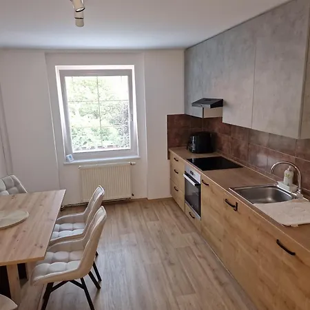 Zelena 아파트